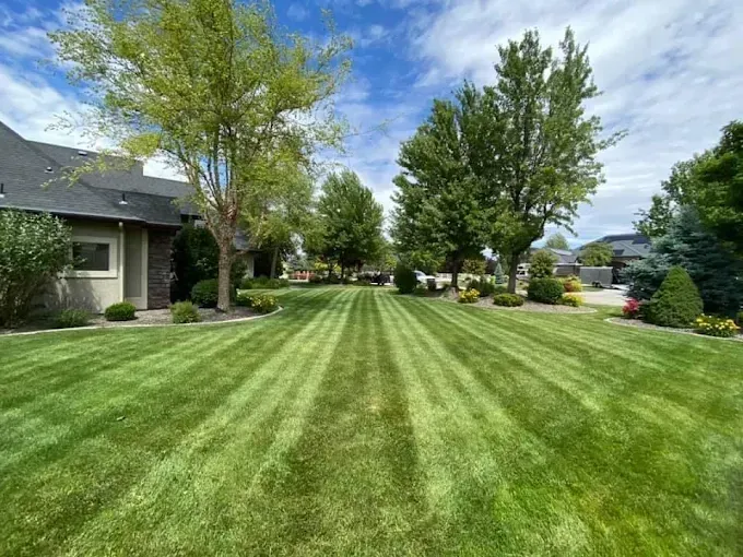 Well-kept suburban front lawn with striped grass, trees, and a house under a cloudy sky
