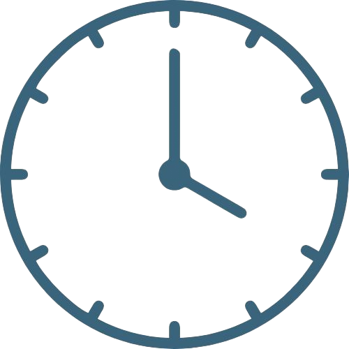 TIMELINESS icon