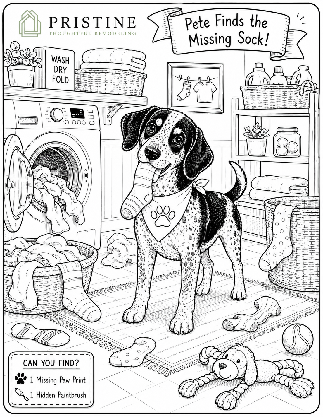 Dog in a laundry room with a missing sock, titled “Pete Finds the Missing Sock.”