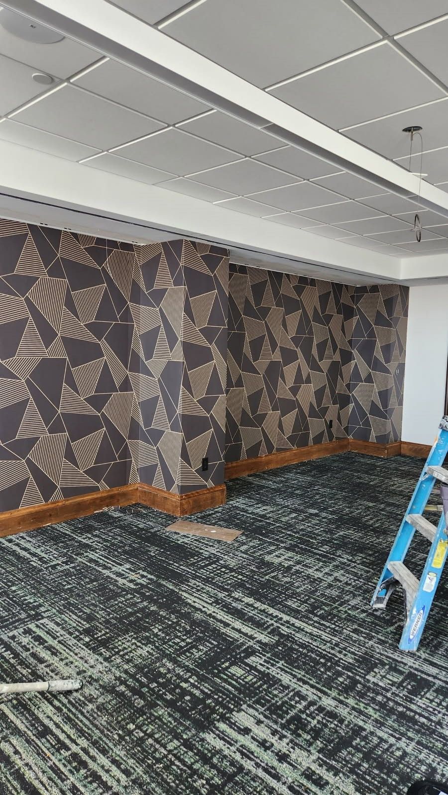 Empty office corner with patterned wallpaper, blue carpet, and a ladder leaning against the wall.