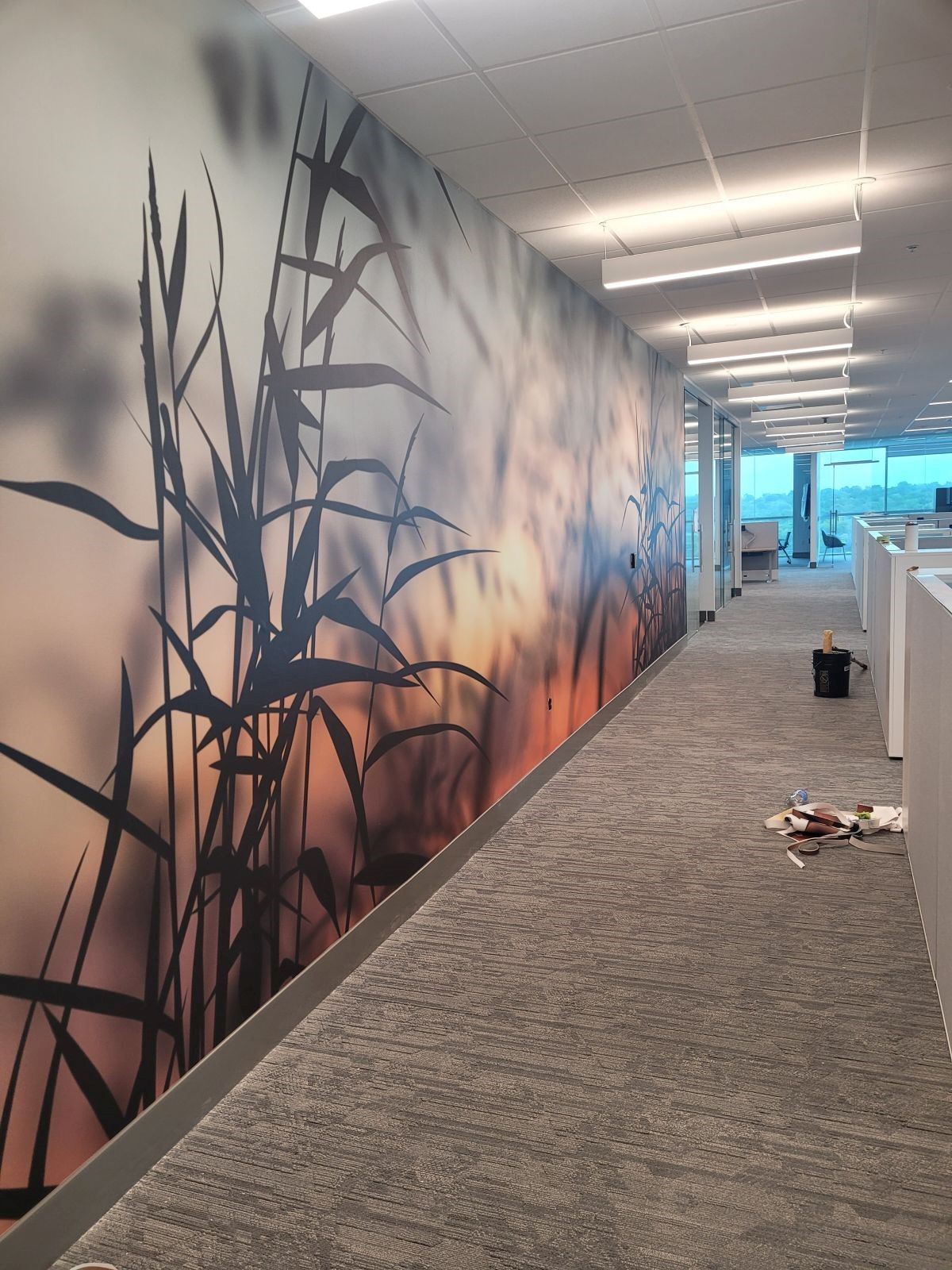 Office hallway with a large wall mural of grasses at sunset and scattered debris on the carpet.