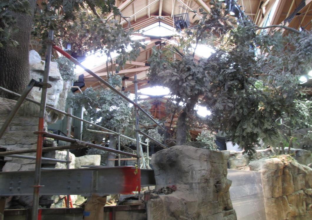 Indoor rock-climbing area with metal walkways, hanging lights, and artificial rock formations among trees