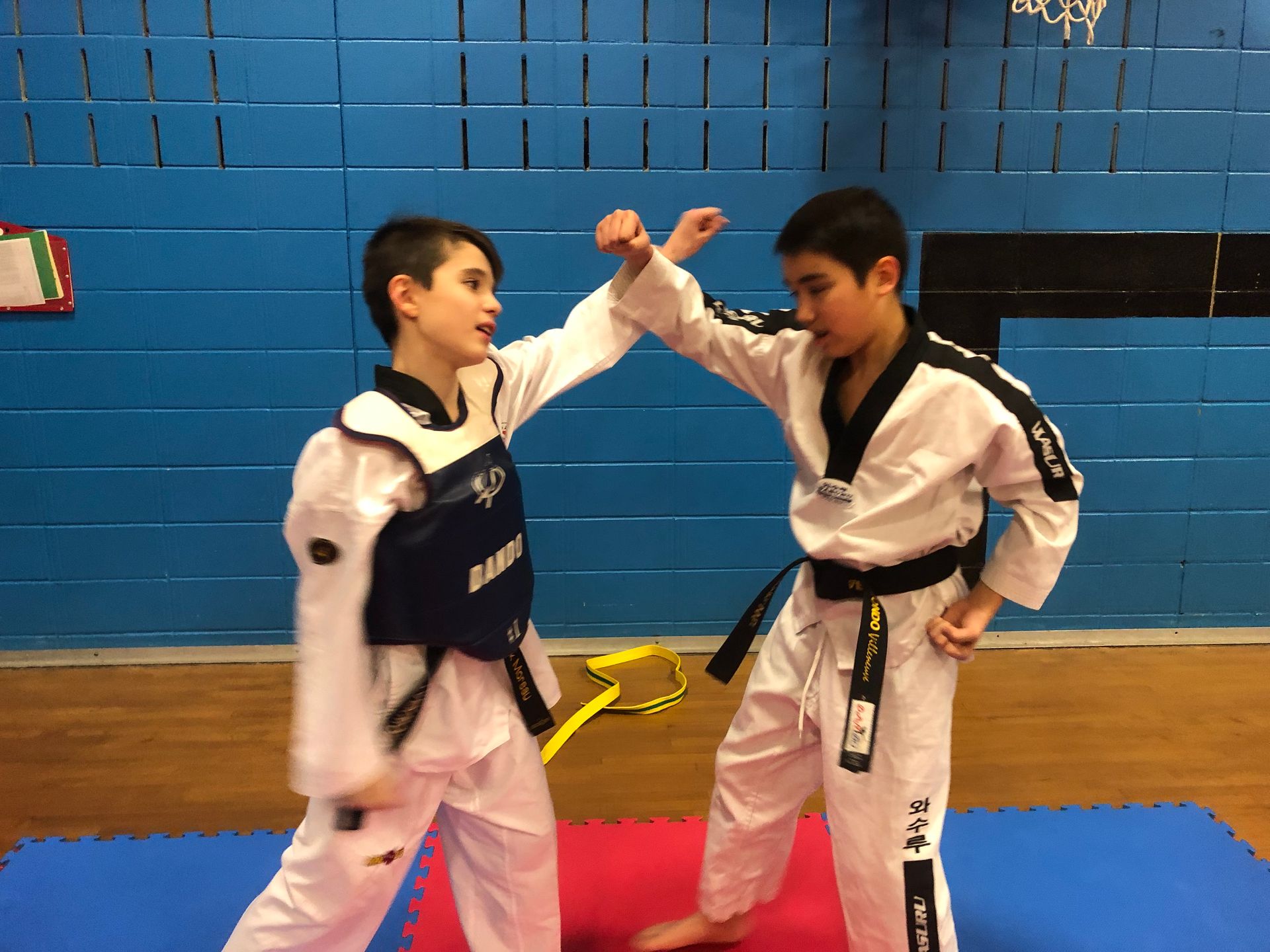 Deux pratiquants d'arts martiaux s'entraînent au combat sur des tapis bleus et rouges dans une salle de sport, levant les mains pour bloquer ou frapper.