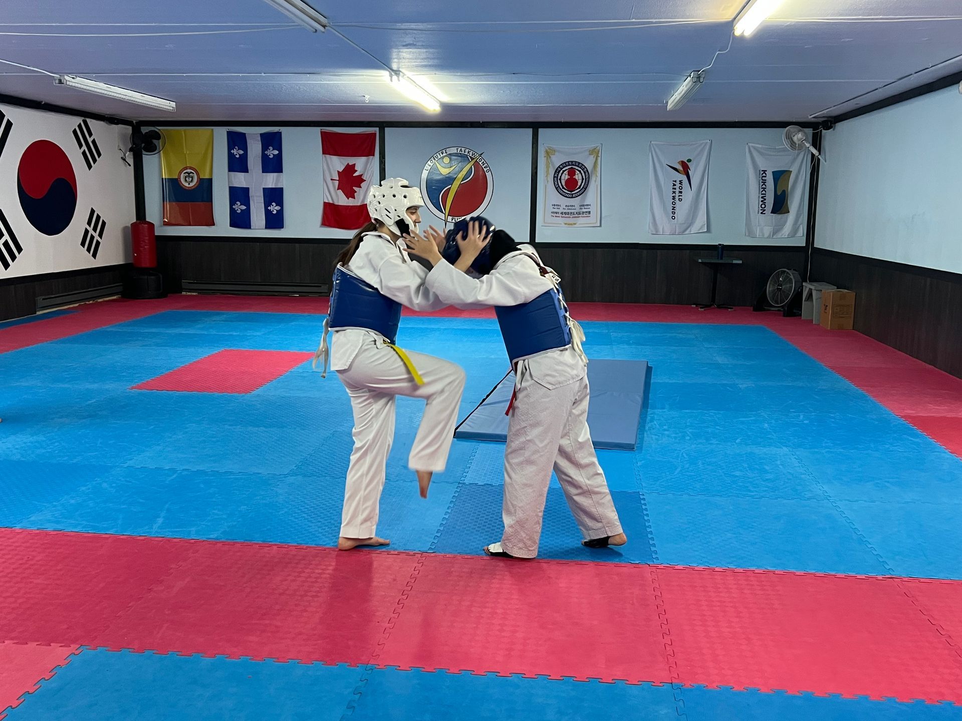 Deux pratiquants d'arts martiaux s'entraînent au combat sur des tapis bleus et rouges dans une salle de sport, levant les mains pour bloquer ou frapper.