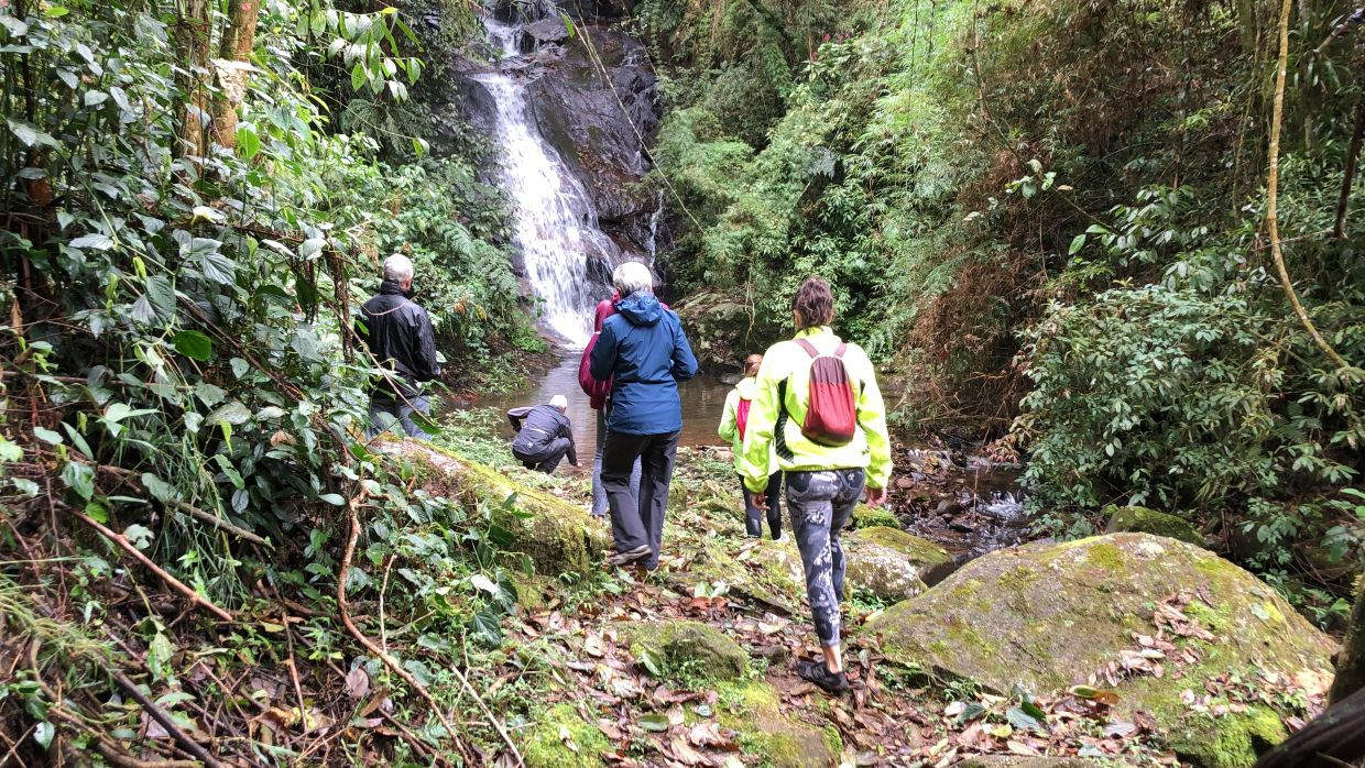 caminhada em trlha paracahoeira