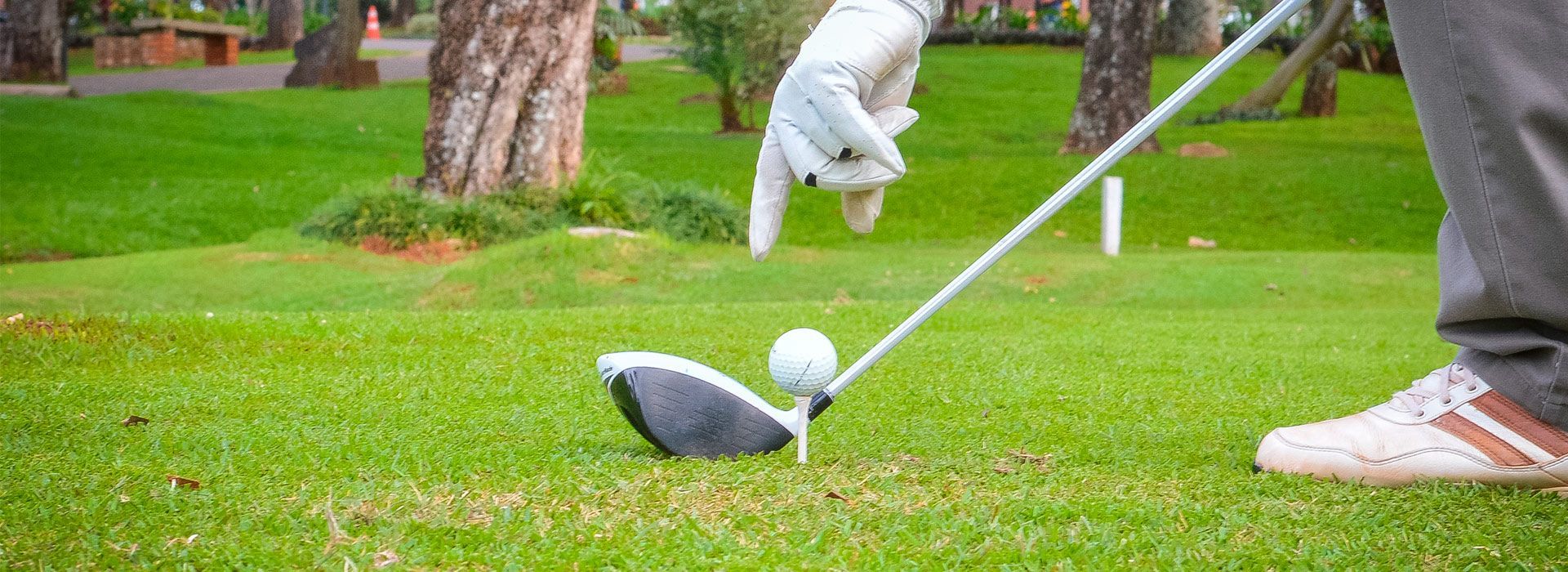Hay un estanque en medio de un campo de golf rodeado de árboles.