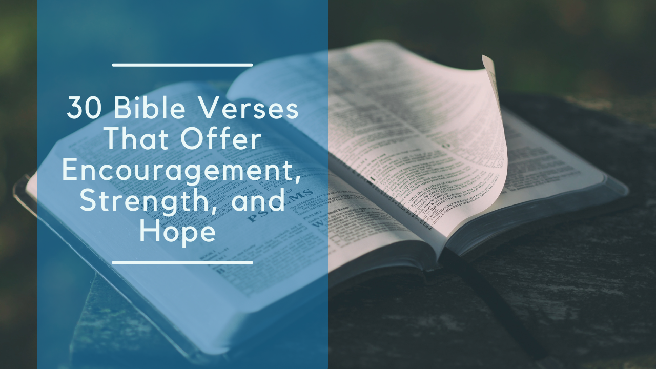 Bible and text