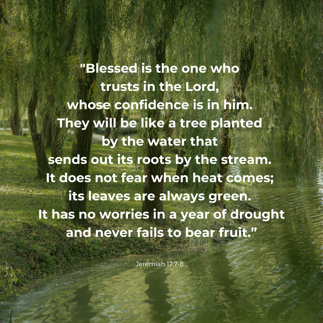 Trust