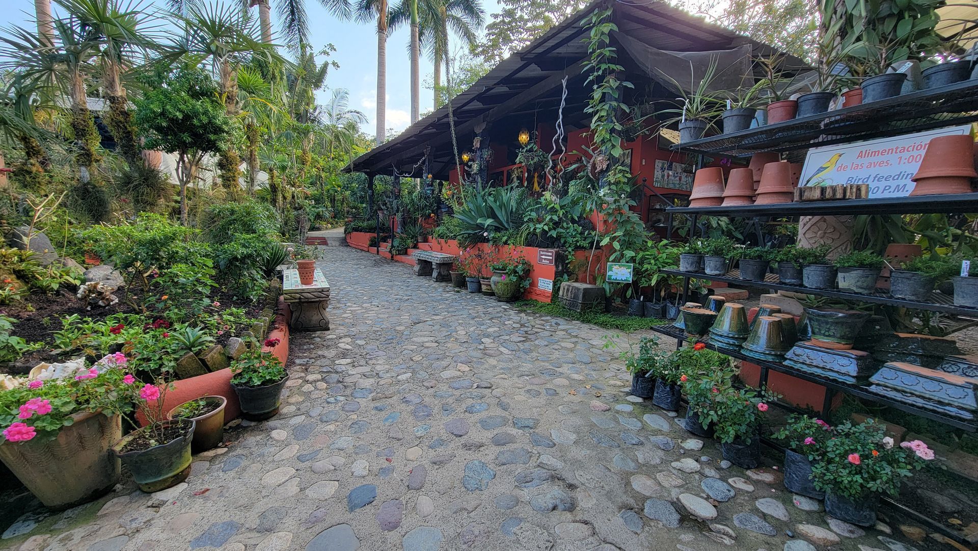 Pathway through a plant nursery.