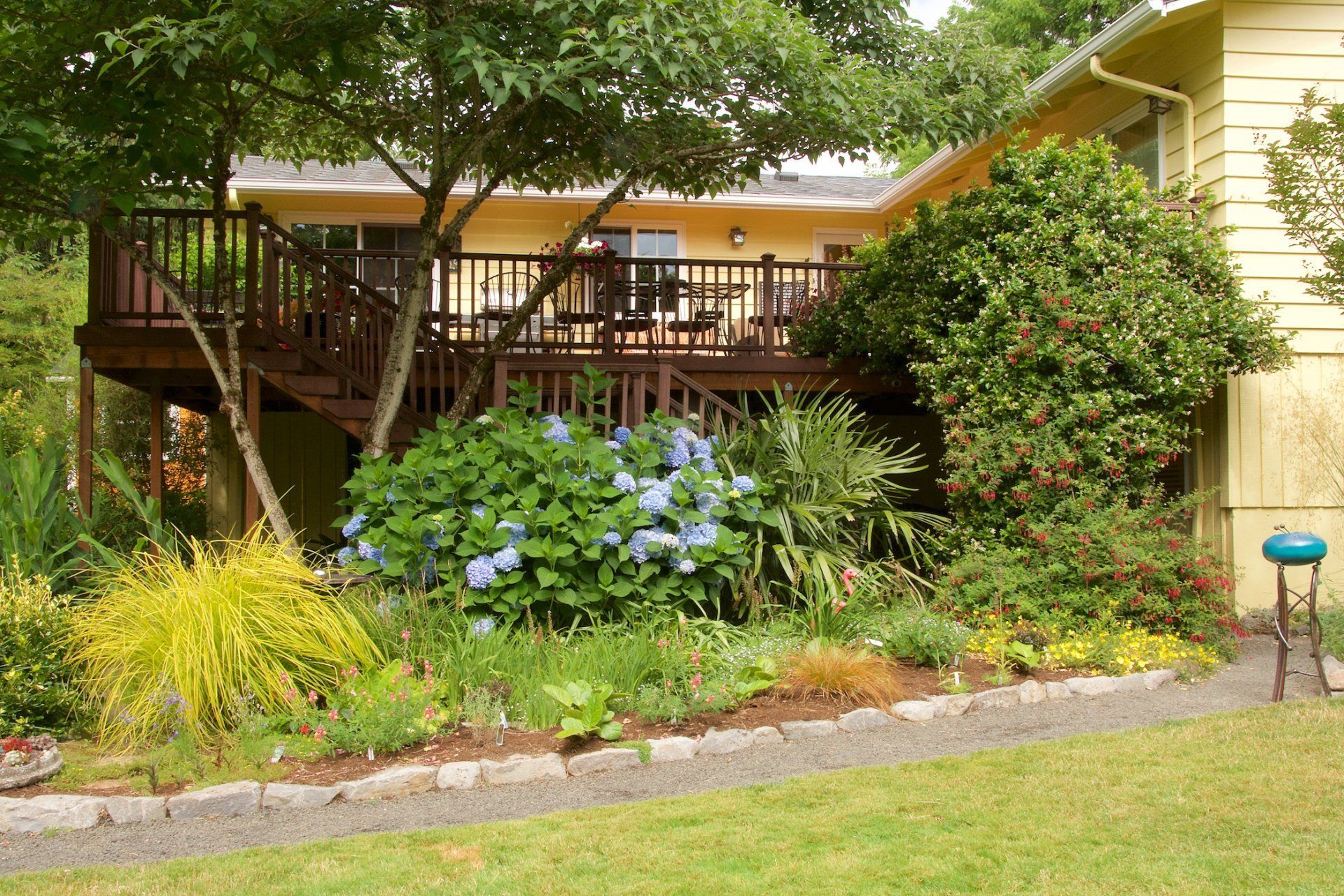 Yellow house with a wooden deck and lush garden featuring blue hydrangeas and a stone pathway.