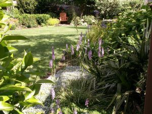 A sunny backyard with a grassy lawn, flowerbeds, and an orange chair in the distance.
