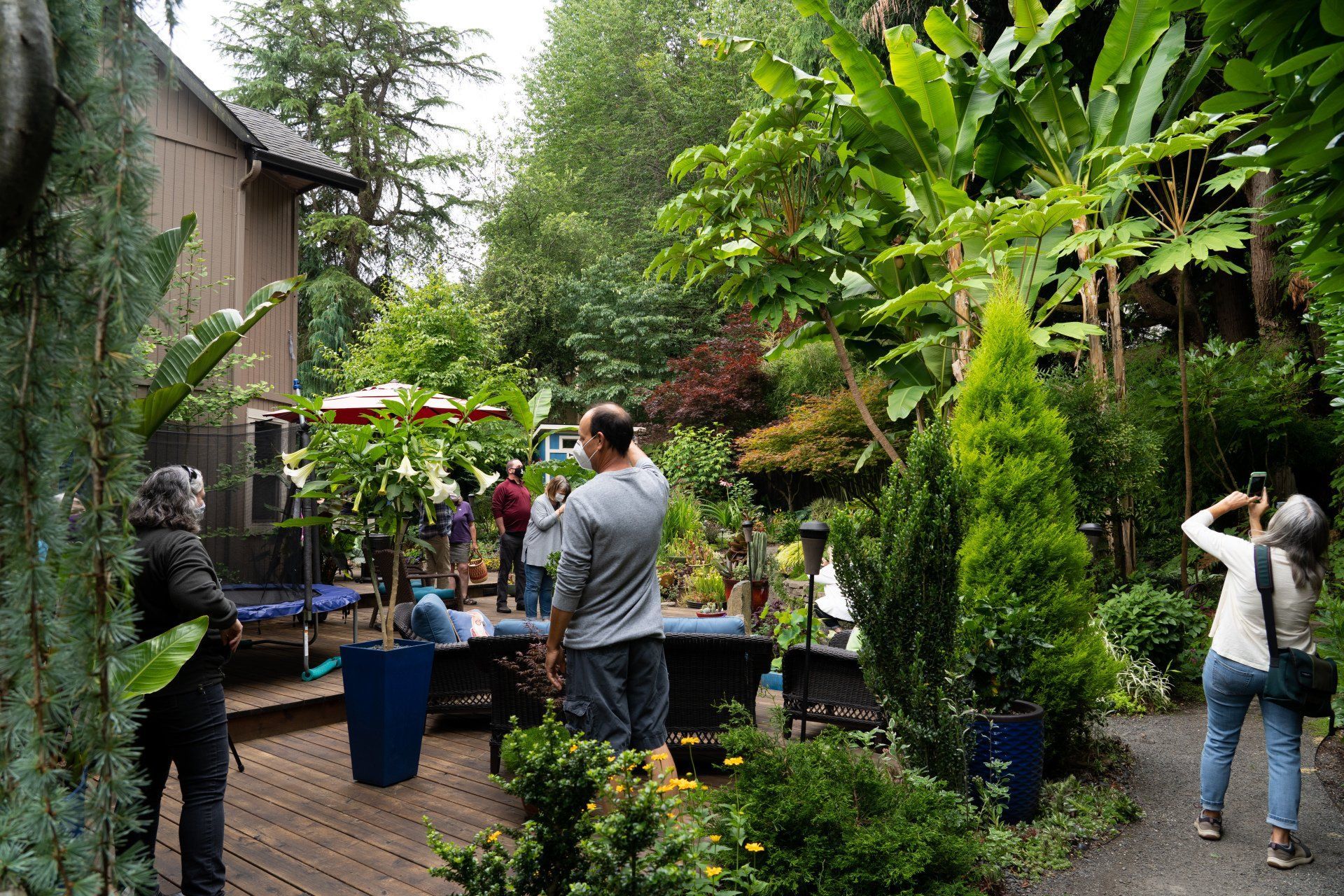 People in a lush garden, some taking photos near a house with a wooden deck and blue lounge furniture. 