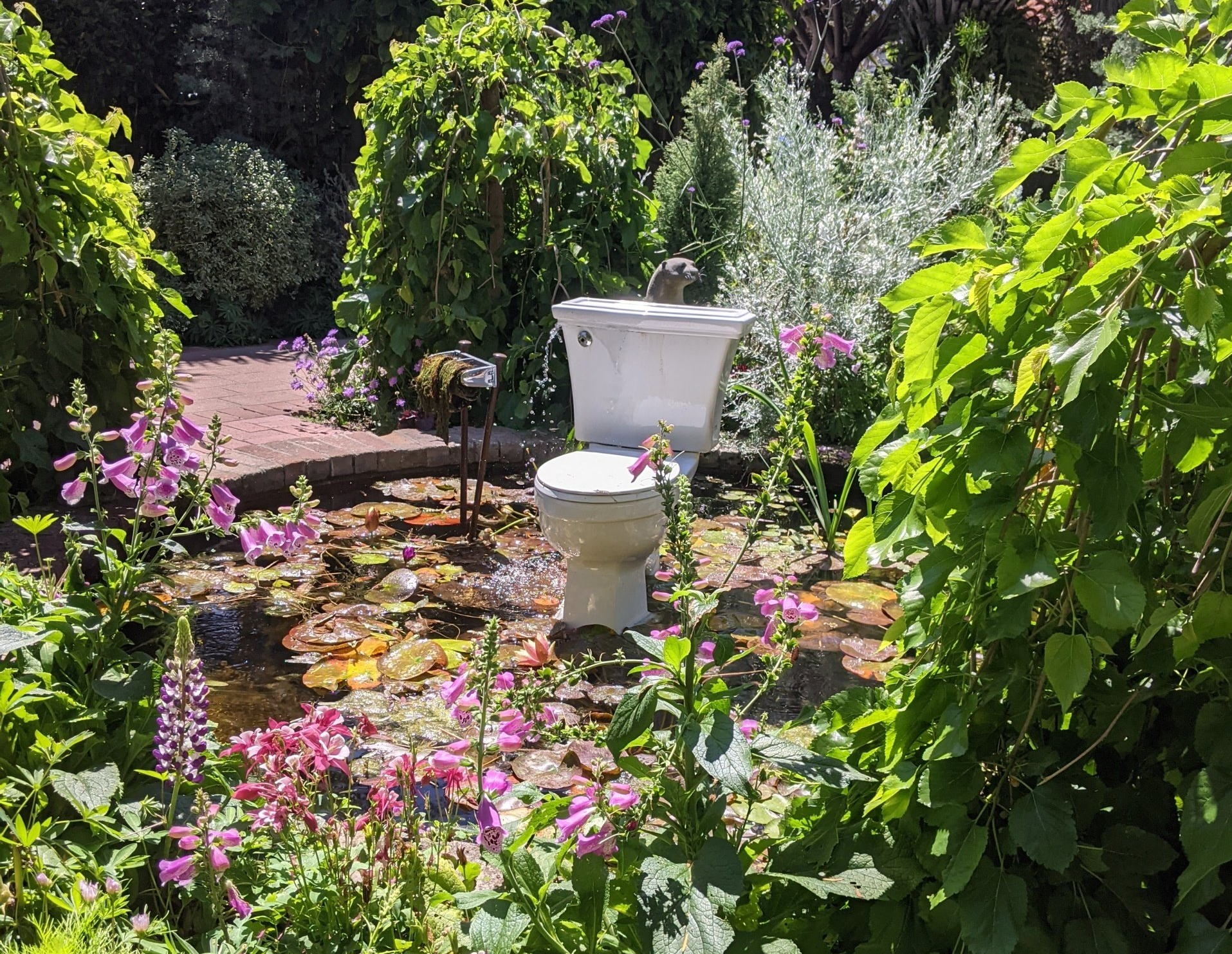 A white toilet sits in a pond surrounded by pink flowers and lush green foliage.