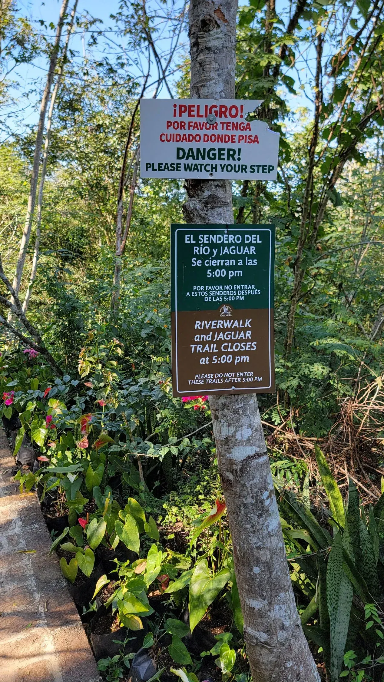 Signs warning of danger posted on a tree in a lush green area. One sign says