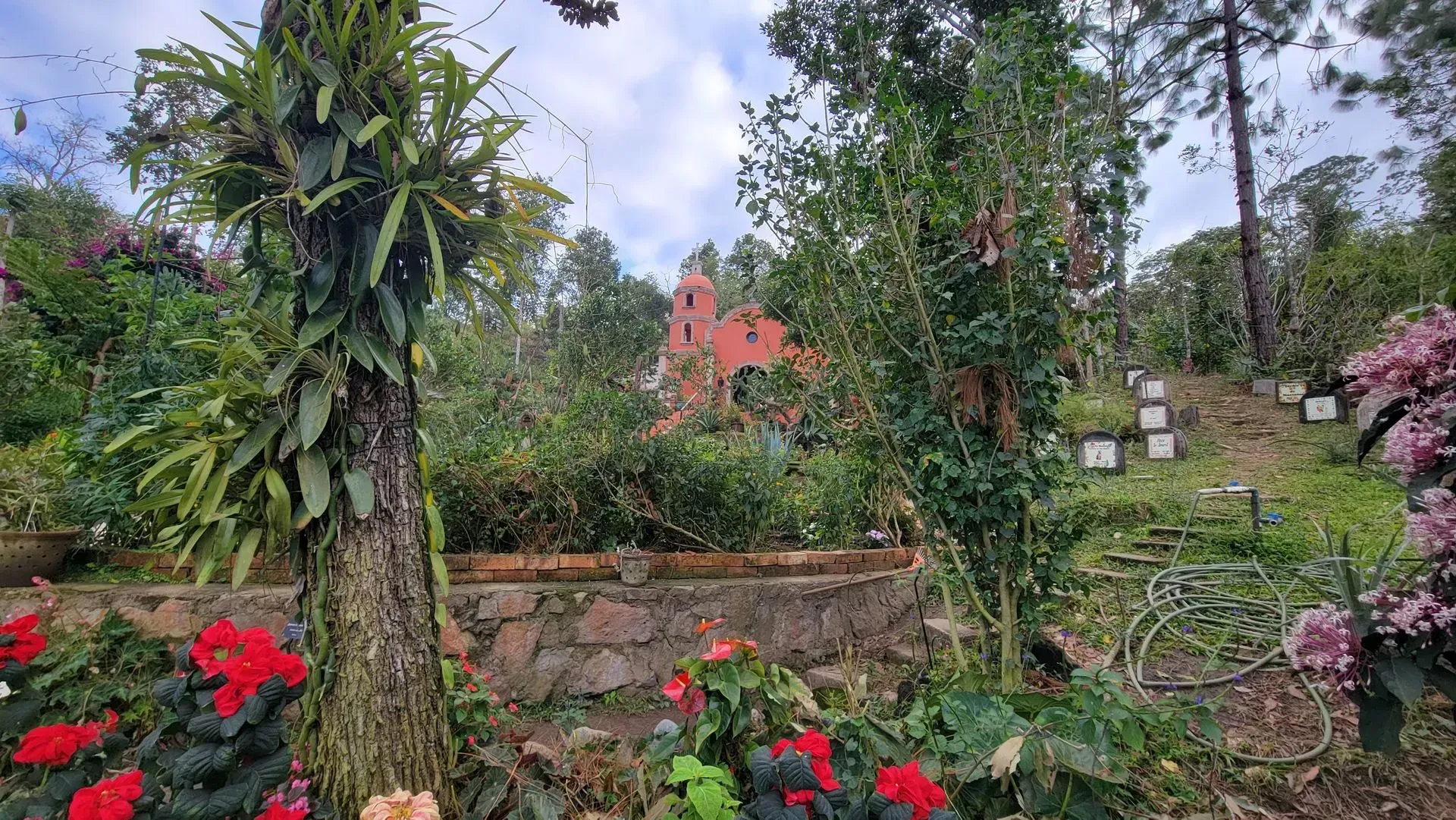 A vibrant garden scene with red flowers in the foreground, leading to a red building among lush green foliage. Overcast sky.
