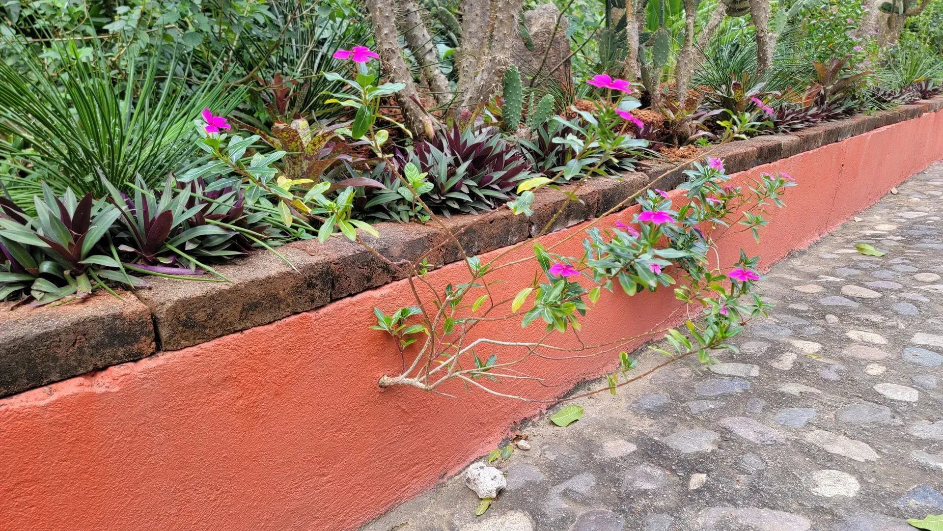 Red concrete planter with various plants and pink flowers; path with cobblestones.