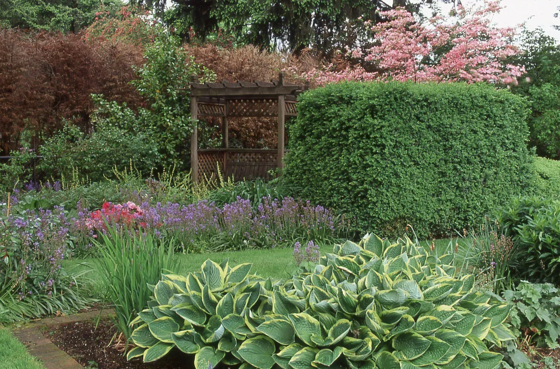 Lush garden with a trimmed green bush, wooden arbor, and colorful flowers.