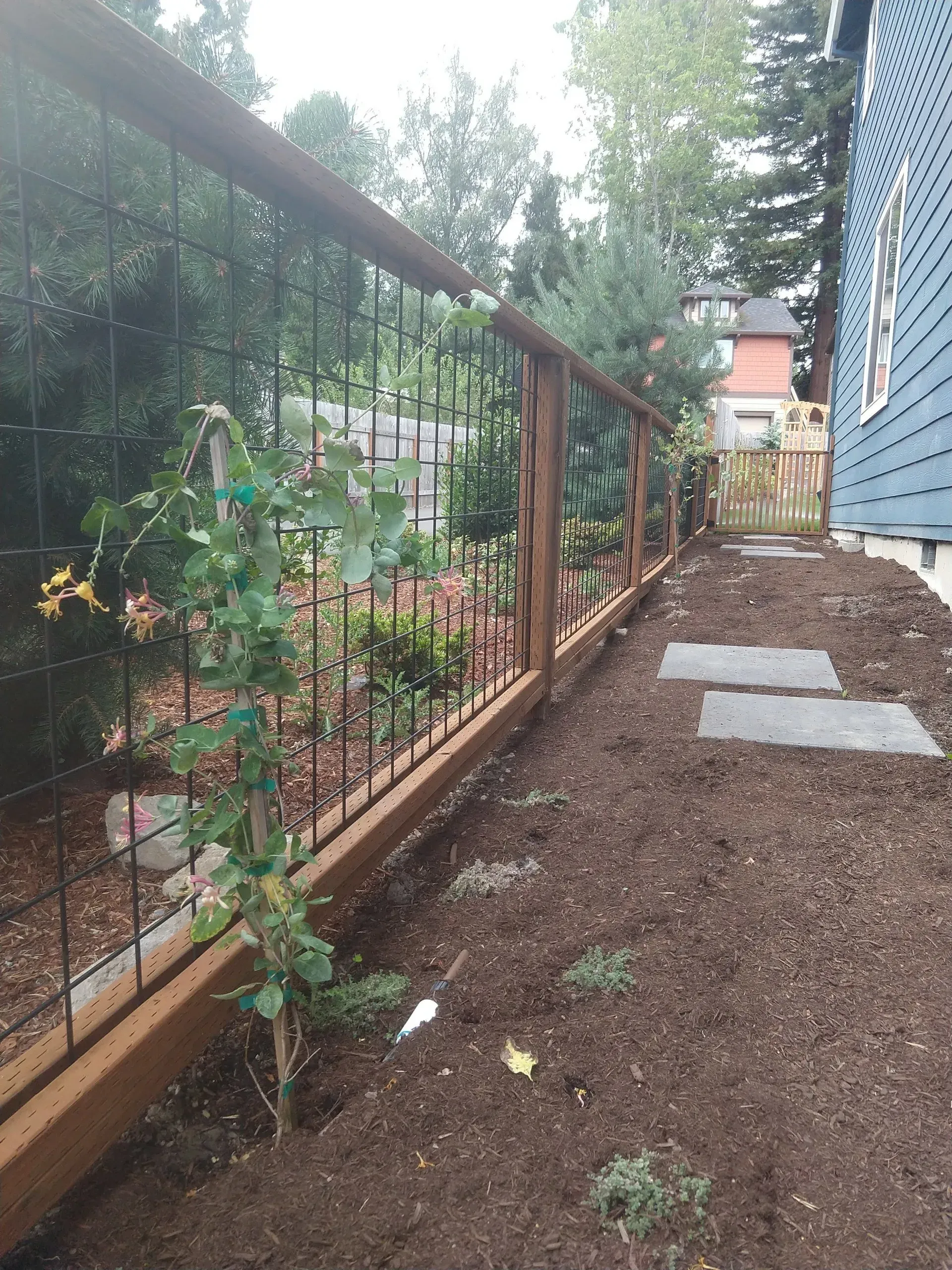 A wooden fence with wire mesh encloses a newly planted garden bed next to a blue house. 