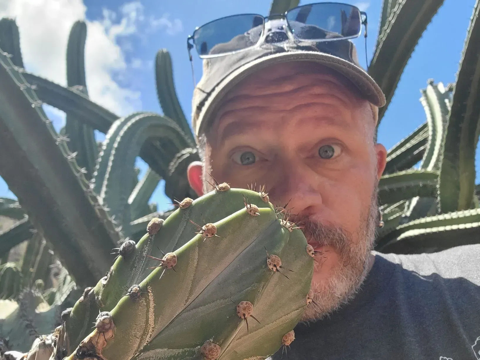 Man with sunglasses on a hat sniffs a cactus, sky and other cacti in background.