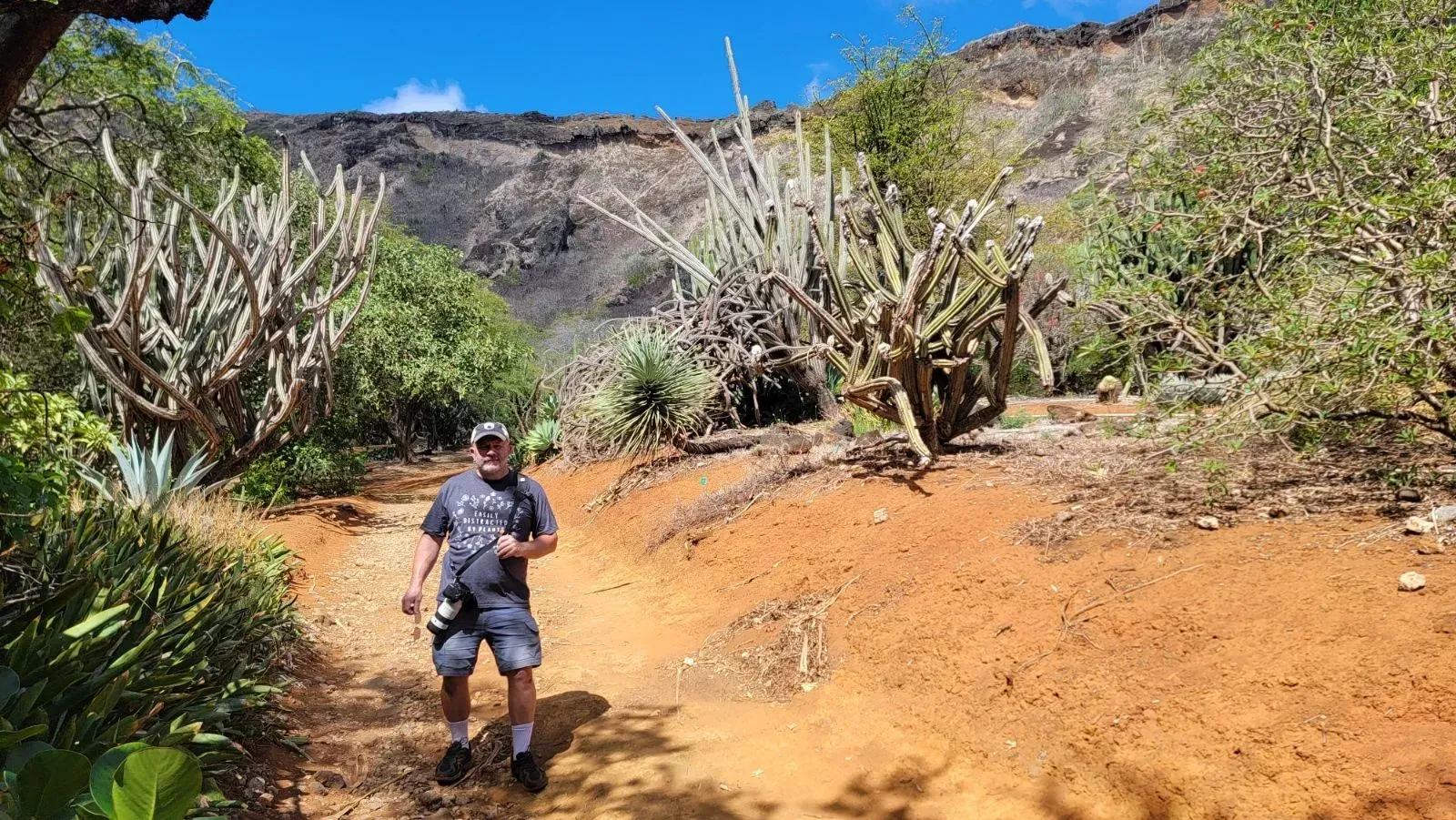 Man hiking on a red dirt trail in a canyon, surrounded by cacti and vegetation; a rocky cliff face is in the background.