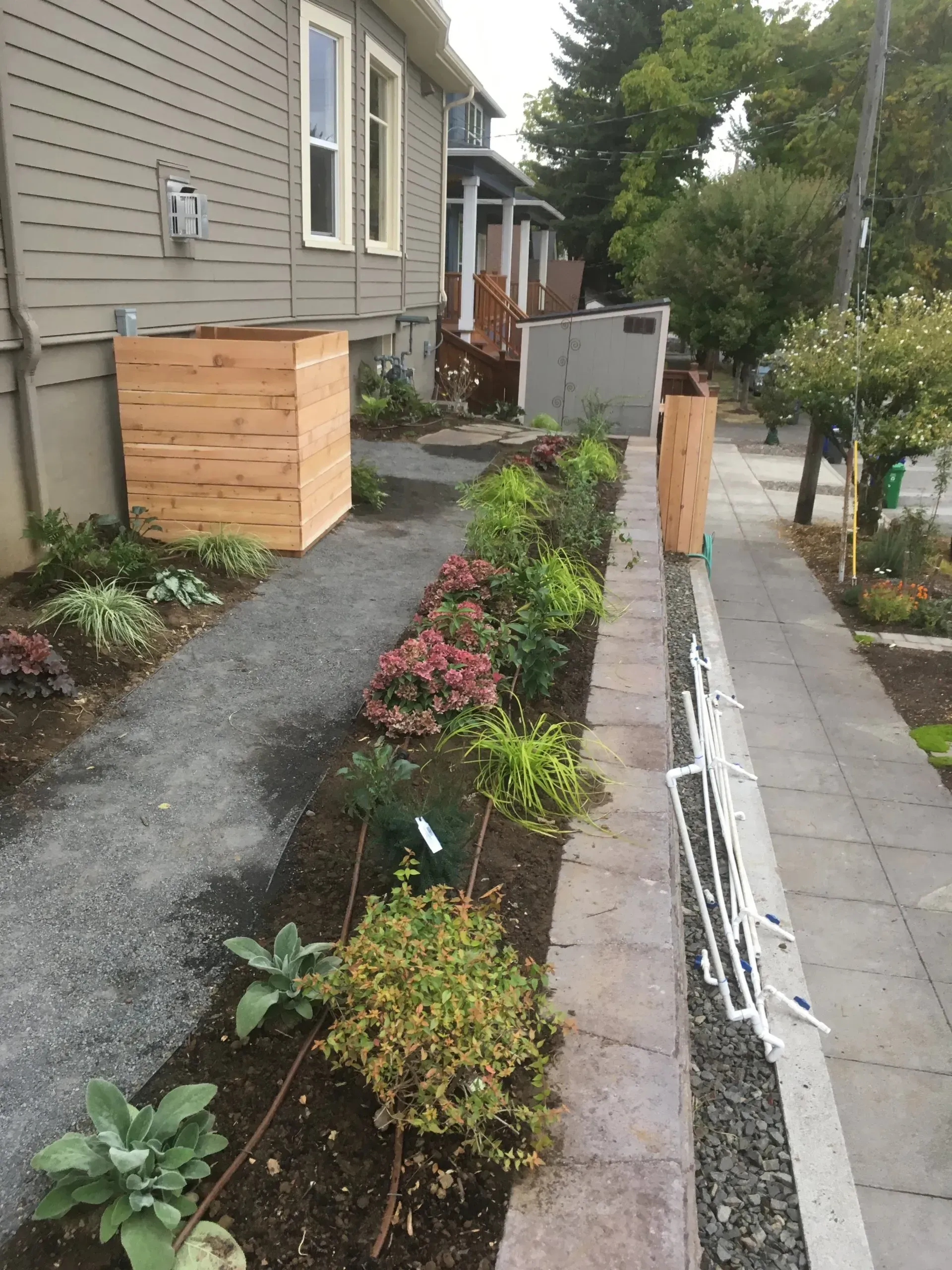A narrow garden bed with various plants borders a sidewalk next to a light gray building. 