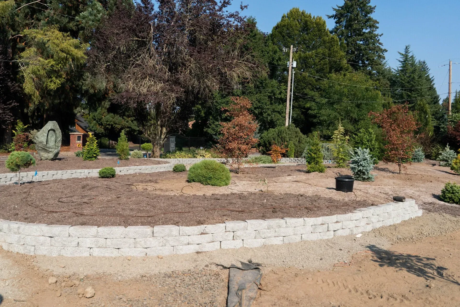 Landscaped garden with curved stone borders, various trees and shrubs against a backdrop of green trees and a blue sky.