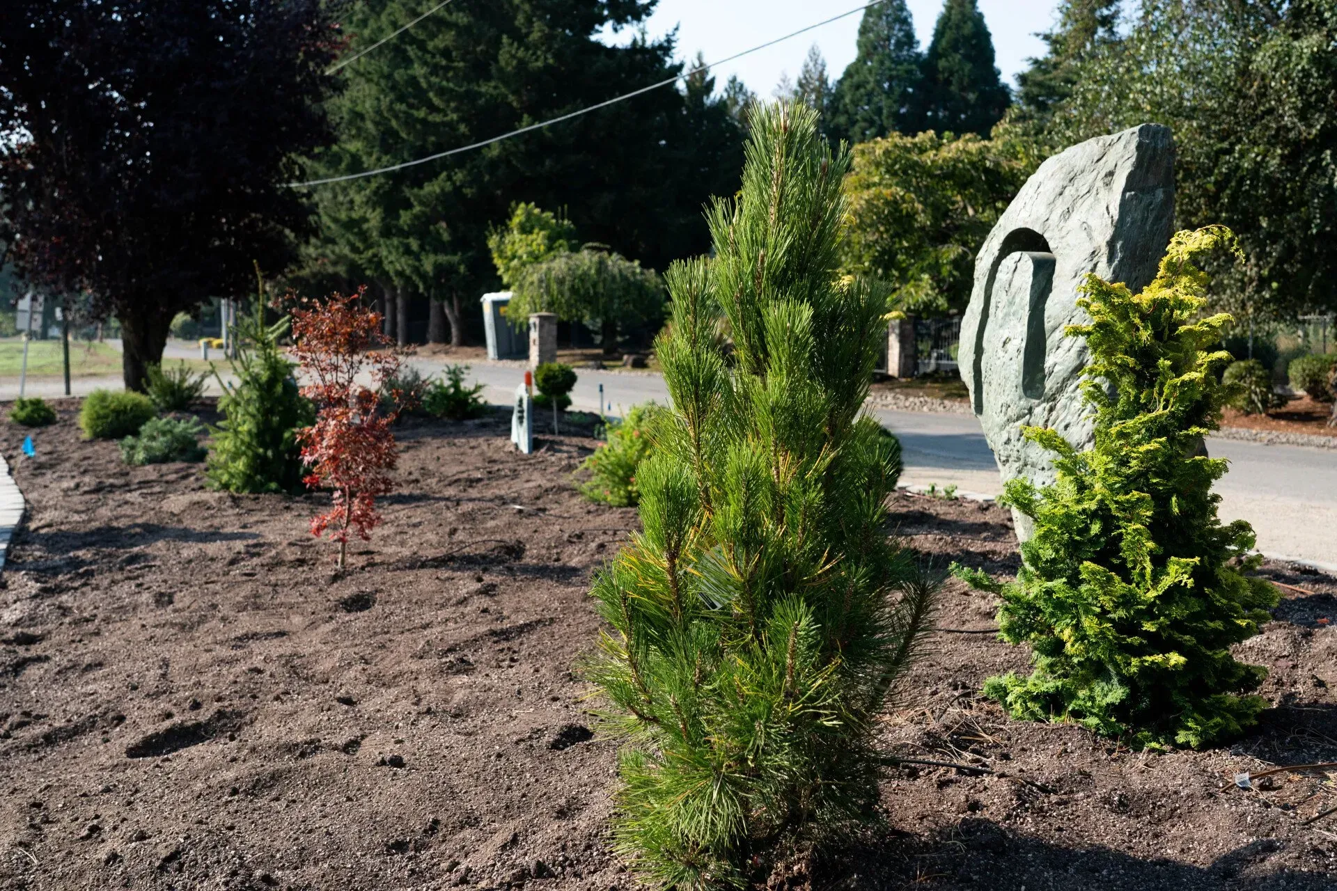 A garden bed features several small trees and bushes with a large stone sculpture on the right.