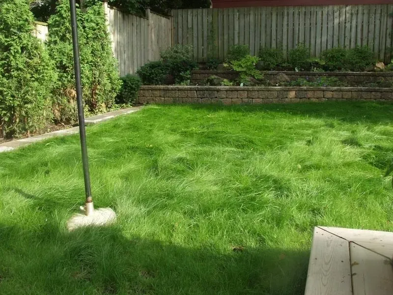 Grassy backyard with a wooden fence, raised garden beds, and a black pole with a concrete base. Sunny day.