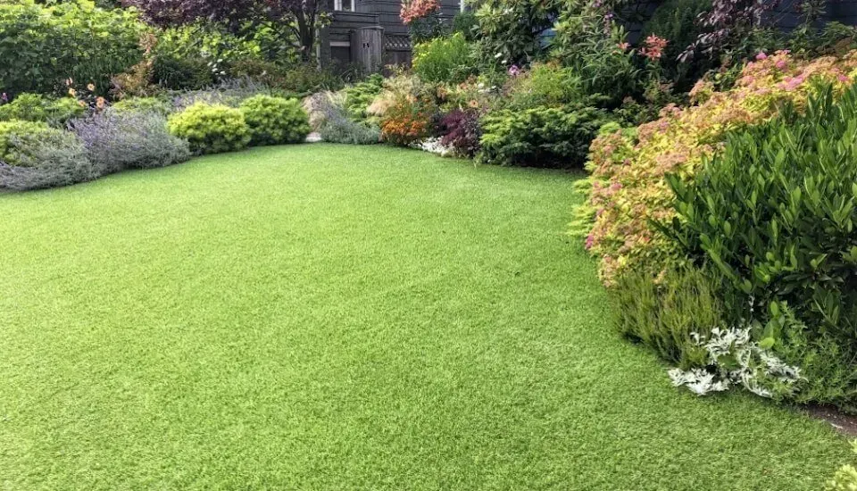 Green artificial lawn surrounded by flowering plants and bushes. A house is in the background.