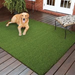 A golden retriever dog rests on a green artificial grass rug on a wooden deck.