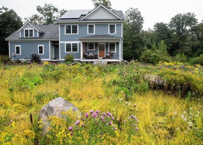 Two-story blue house with solar panels in a field of wildflowers and tall grass.