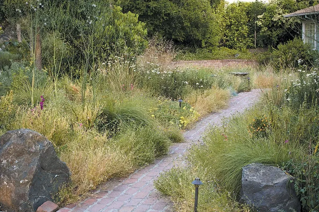 A winding stone path meanders through a sunlit, overgrown garden.