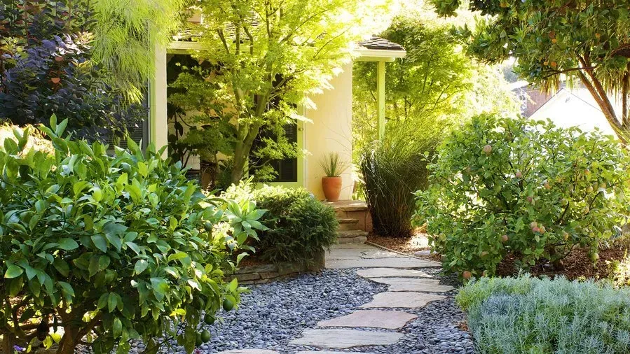 Stone pathway leads to a home entrance, bordered by lush green plants and a gravel bed. The scene is bathed in sunlight.
