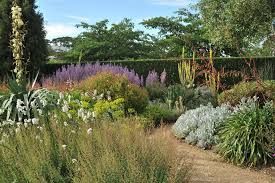 A colorful garden with a pathway, various plants, and a hedge in the background.