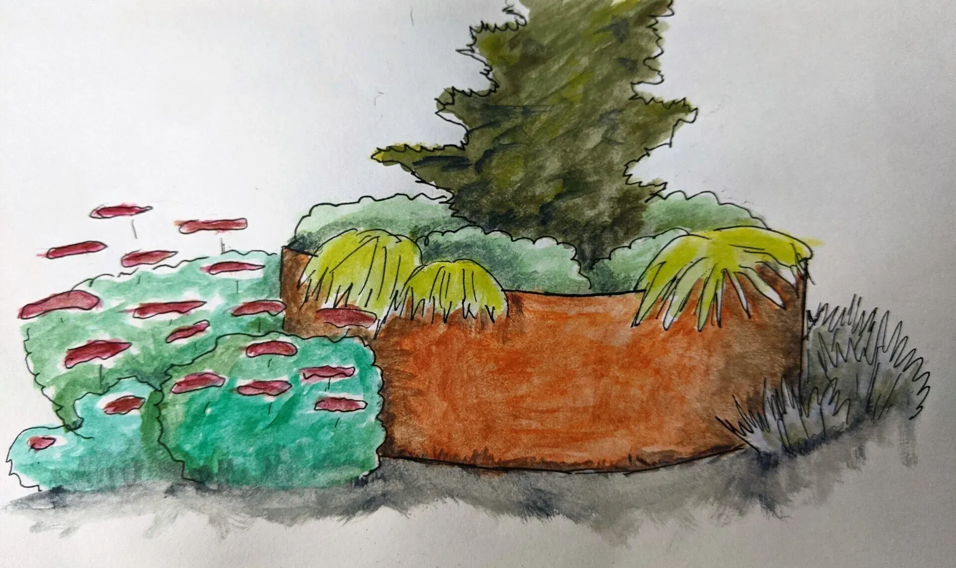 Watercolor illustration of a round, rust-colored planter with green and yellow plants and a tall conifer.