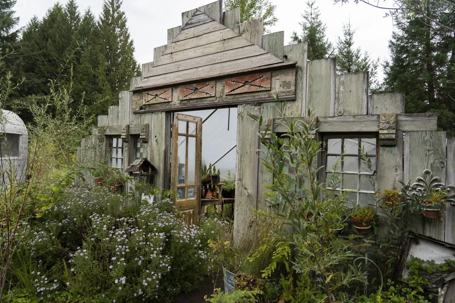 Weathered wooden structure with open door and windows, overgrown with plants in a forest setting.
