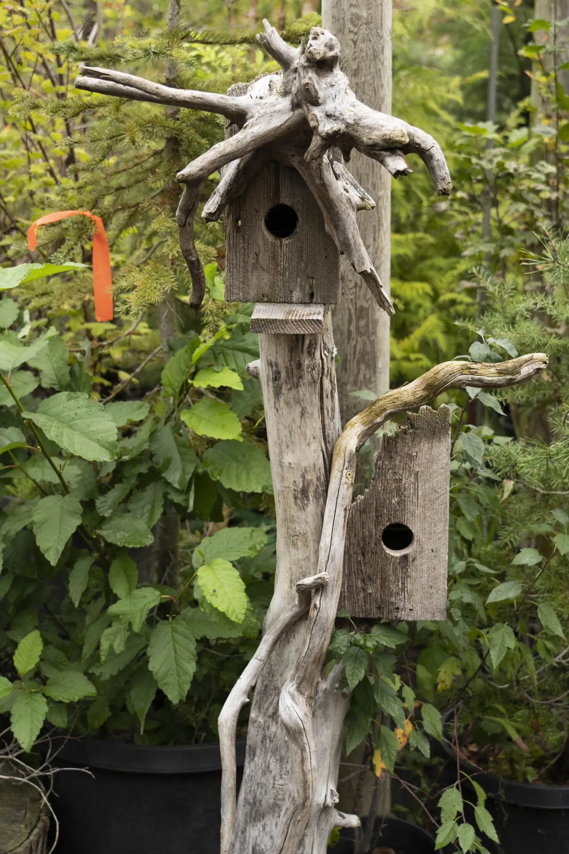 Two weathered wooden birdhouses attached to a post, adorned with driftwood. Lush green foliage surrounds.