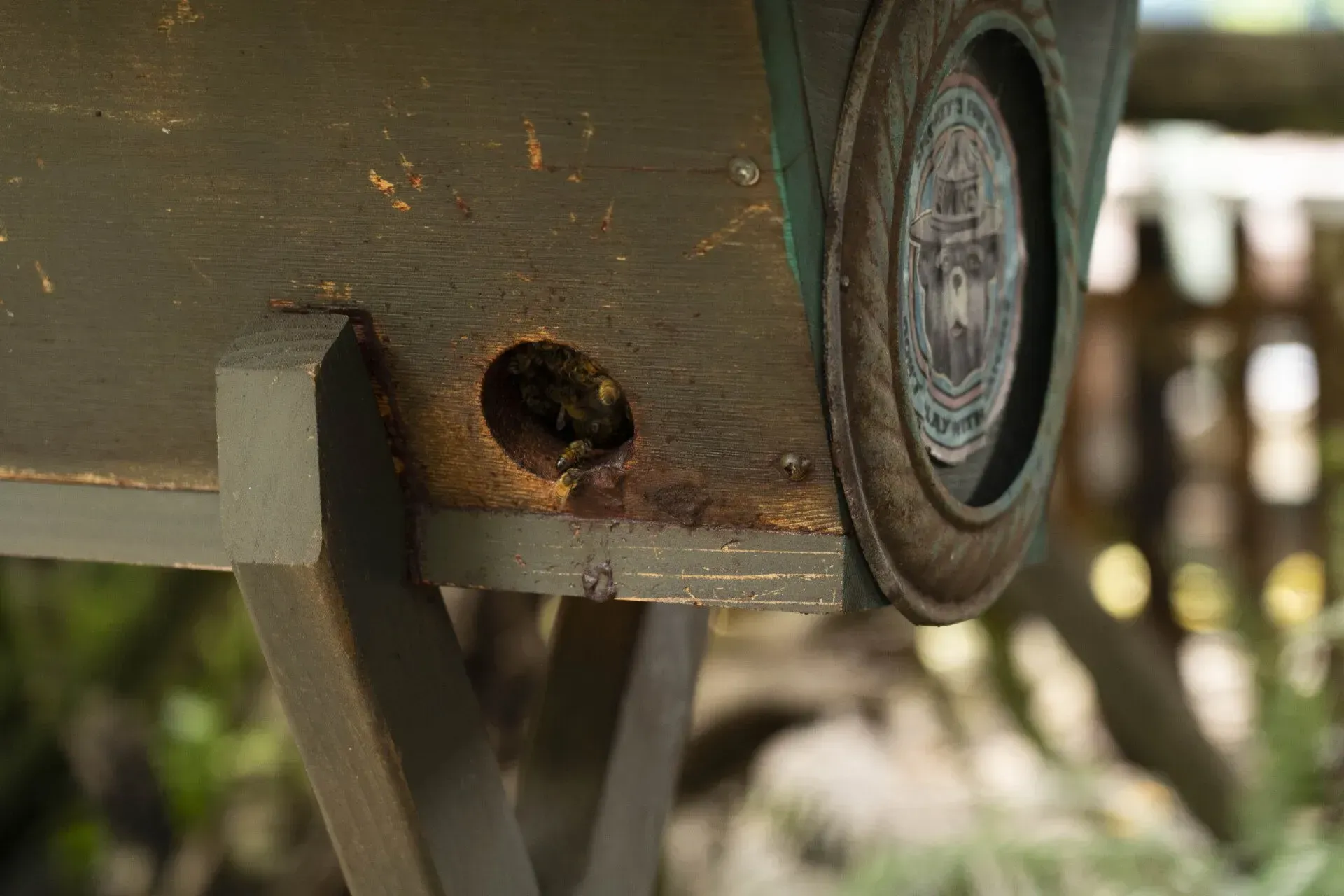 Beehive entrance with bees visible, on a wooden stand.