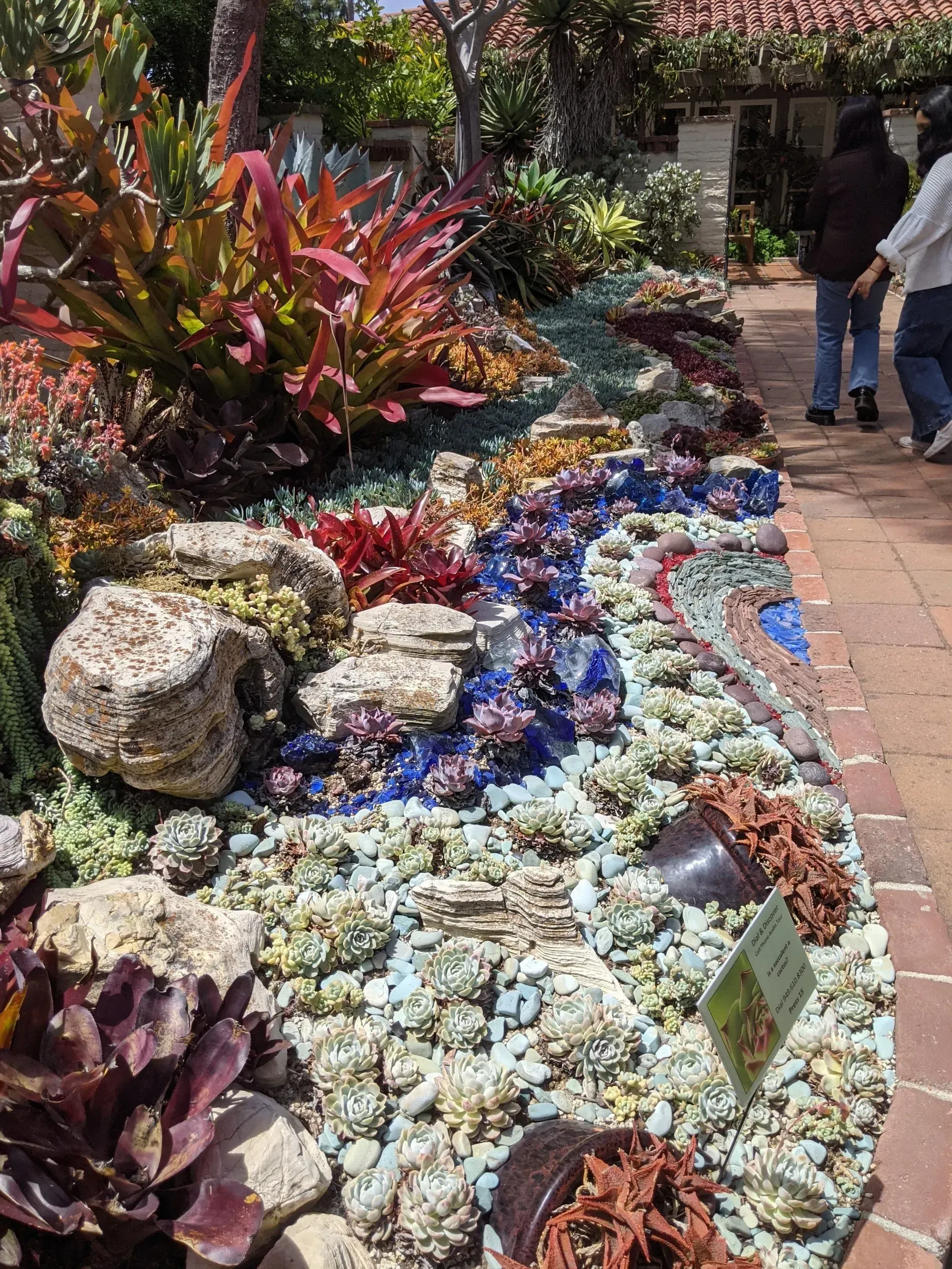 A vibrant succulent garden with colorful plants, a mosaic 