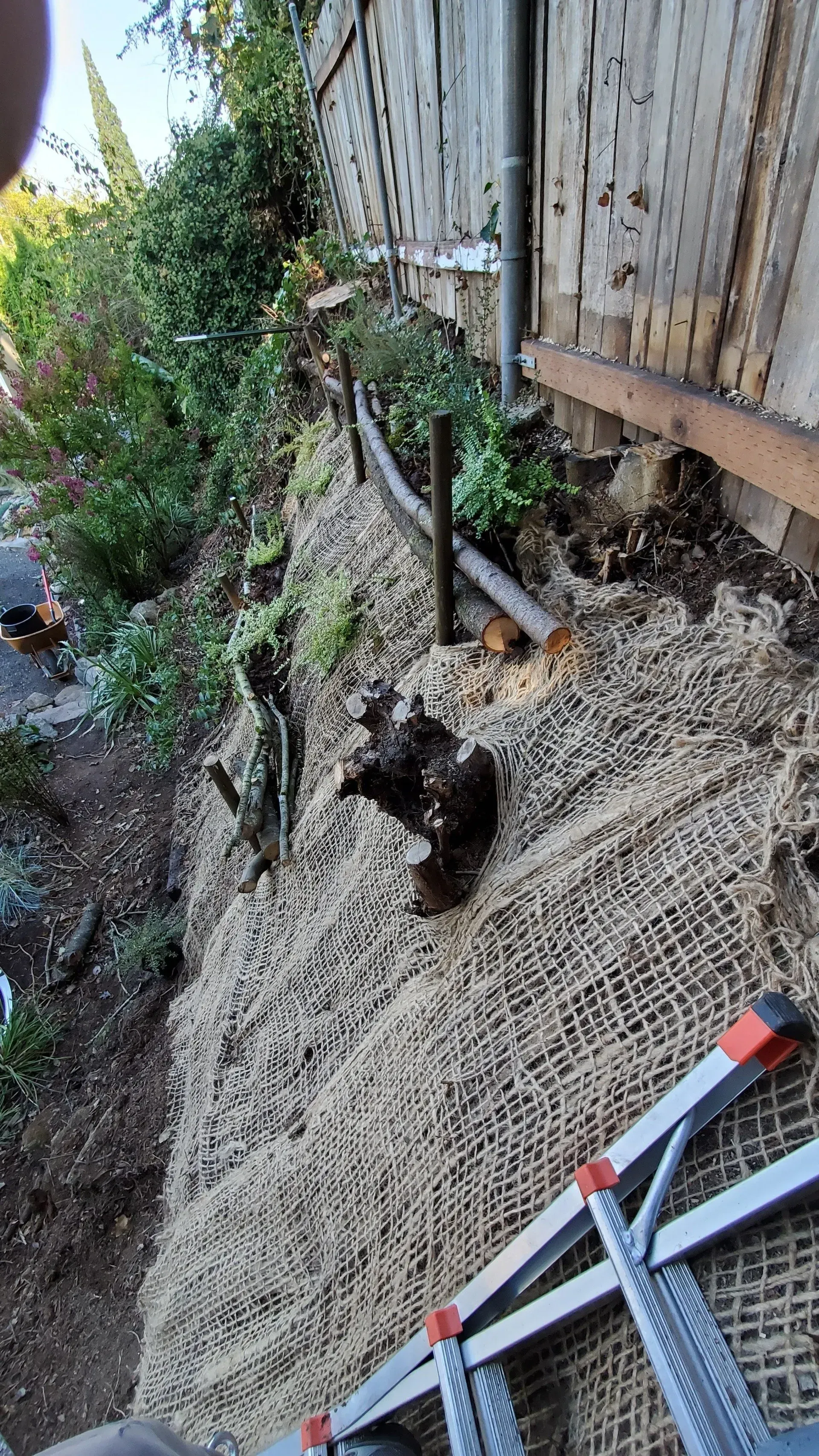 A brown burlap erosion control blanket covers a sloped area next to a wooden fence. A ladder rests at the bottom right.