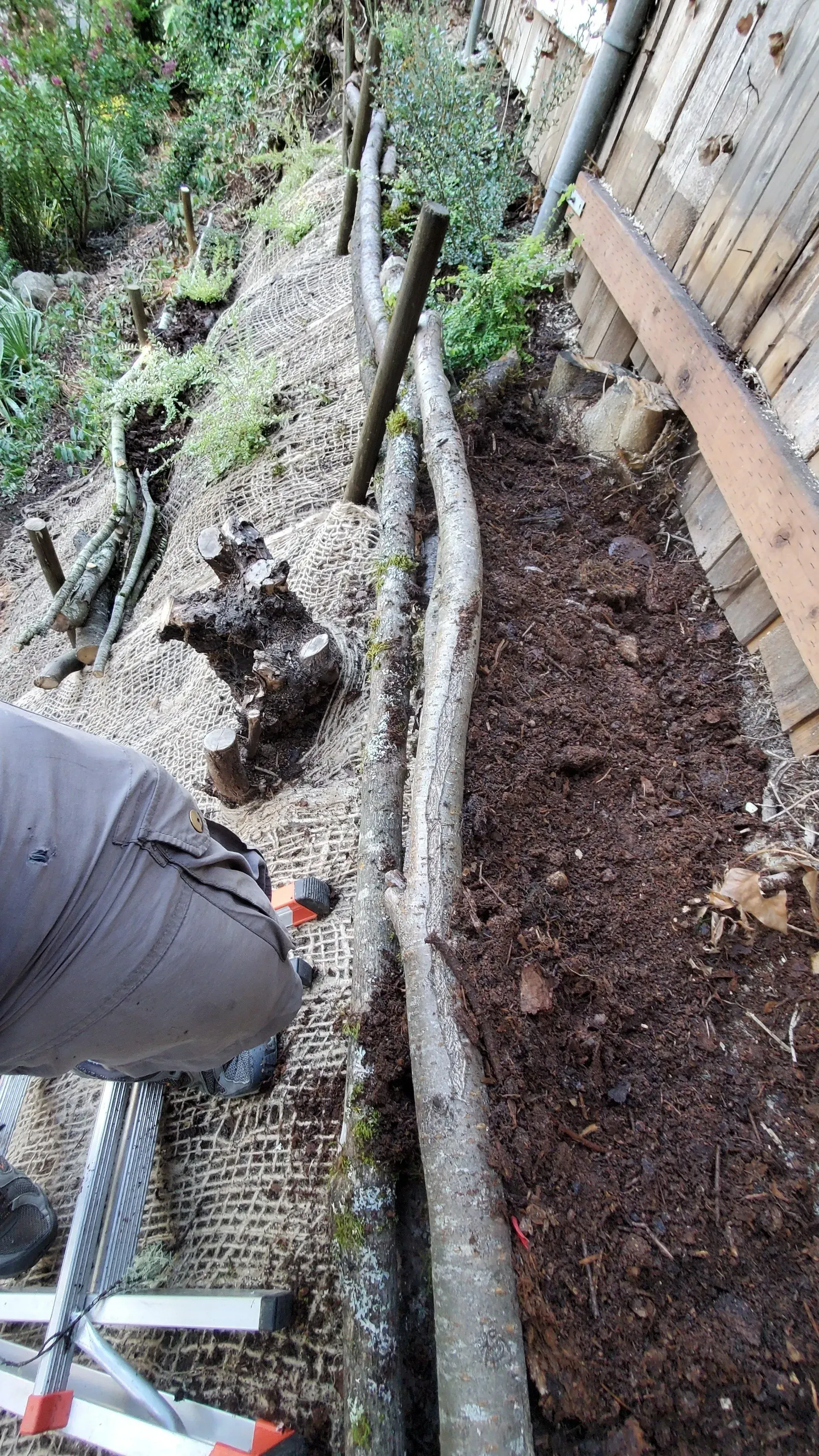 Person installing a log border along a hillside garden bed, with wood chips and gravel visible.