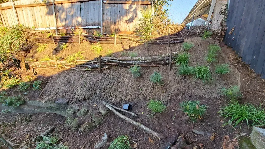 A sloped backyard garden with mulch, small plants, and a rustic wooden fence. The sun shines brightly on the scene.