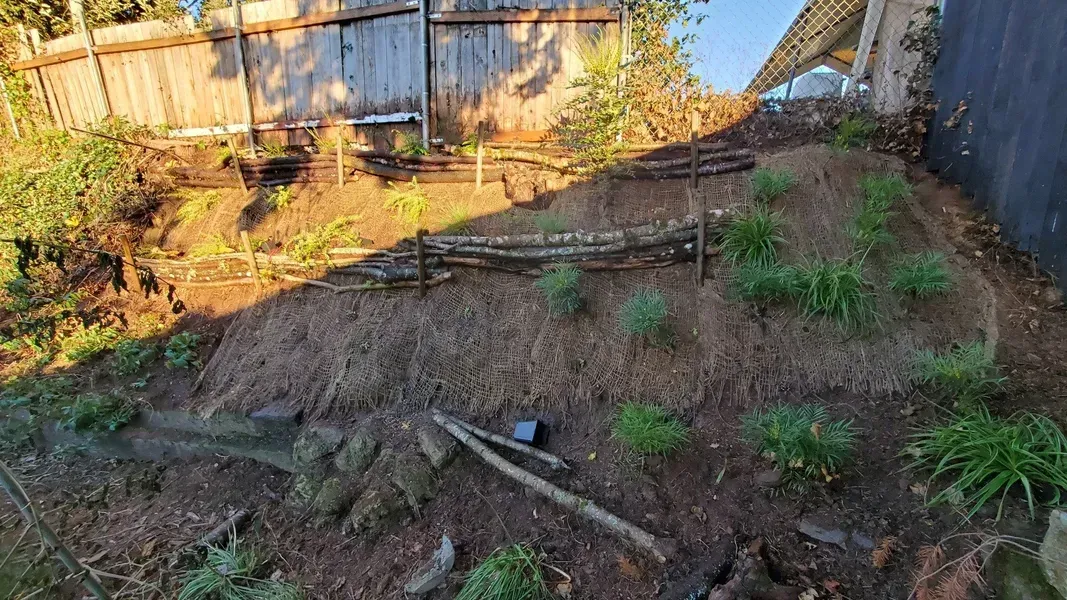 A sloped garden bed with exposed dirt and some plants, next to a weathered wooden fence.