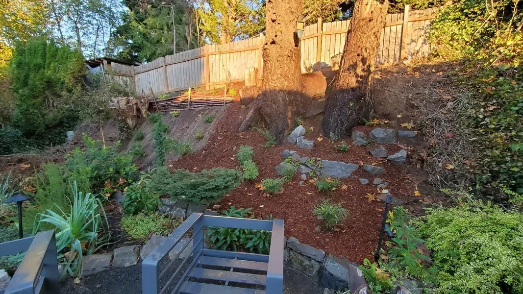 A backyard with a gray wooden bench in the foreground, a mulch-covered hillside, and a wooden fence.