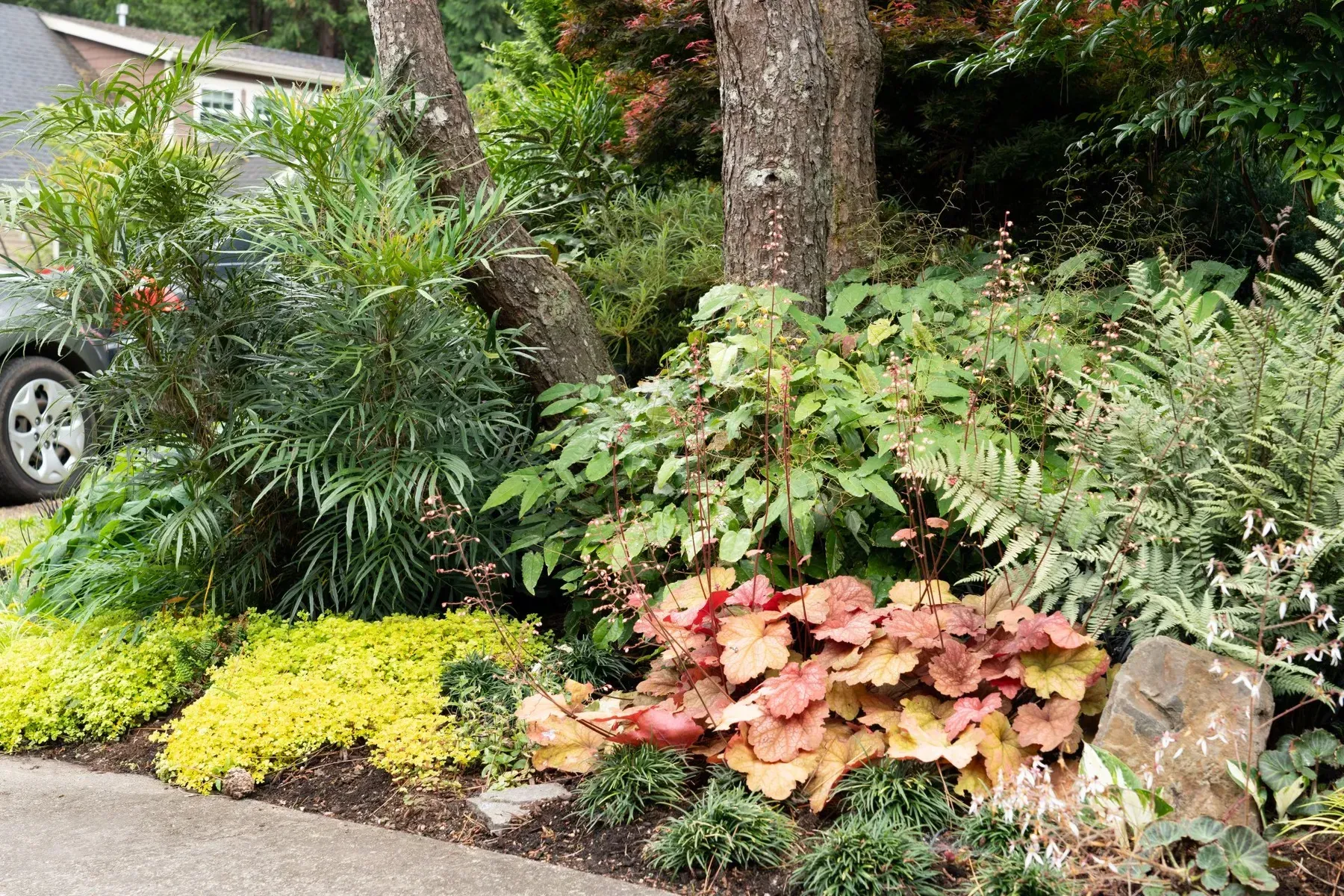 A vibrant garden bed next to a curb, featuring colorful foliage around tree trunks and a car's wheel.