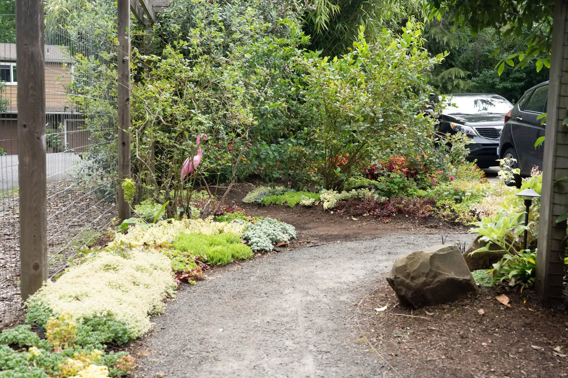 Gravel path through a garden with lush greenery, leading to a car. A flamingo statue stands amongst the plants.