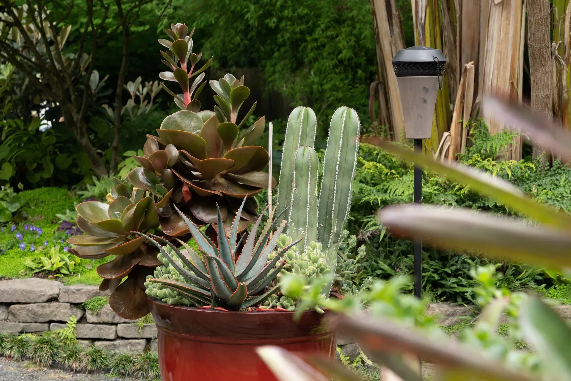 A red pot overflowing with a variety of plants, including succulents and a cactus, set against a green backdrop.