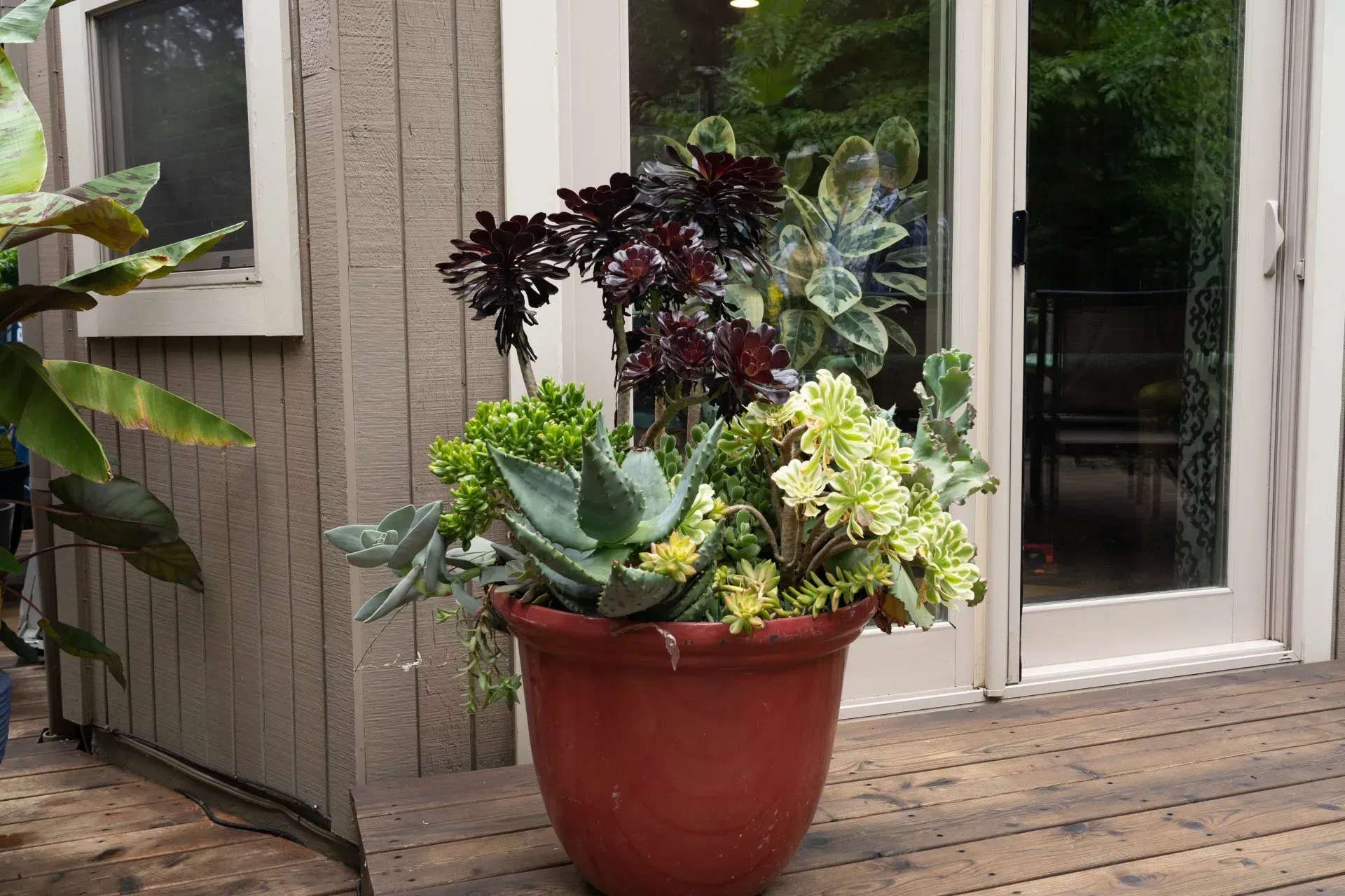A terracotta pot filled with various succulents.