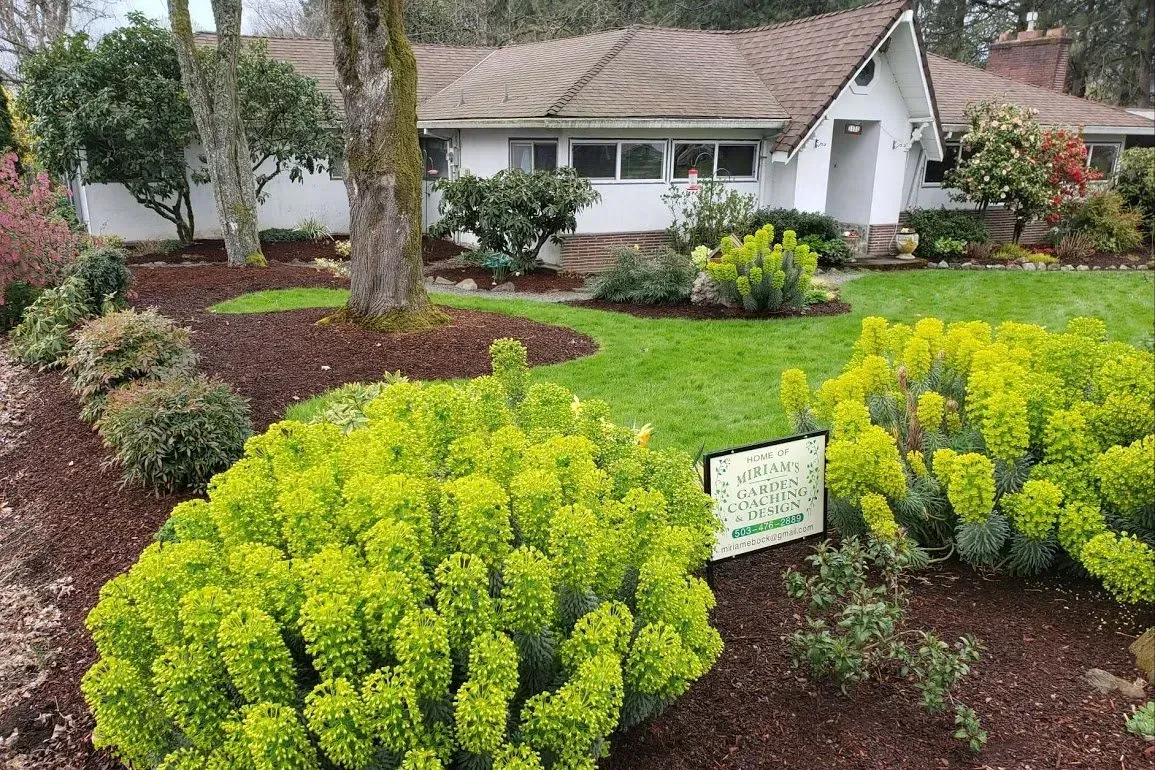 A well-landscaped front yard with a white house in the background.