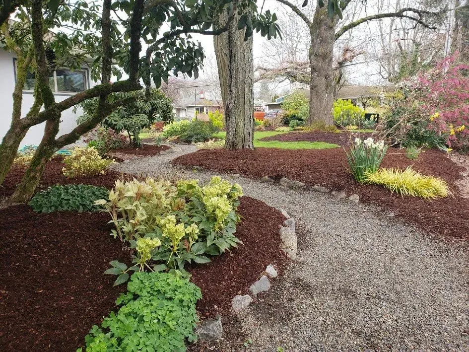Gravel path winds through a garden.